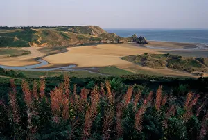 Images Dated 28th August 2008: Oxwich Bay