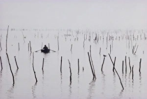 Row Boat Prints: Oyster beds, Arcachon, Gironde, Aquitaine, France, Europe