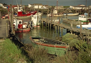 Vendee Prints: Oyster boats at Epoids, Vendee, Western Loire, France, Europe