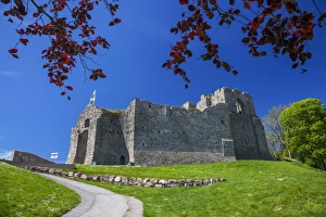 Gower Prints: Oystermouth Castle, Mumbles, Gower, Wales, United Kingdom, Europe