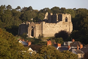 Fortresses Prints: Oystermouth Castle, The Mumbles
