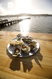 Lunch Prints: Oysters on half shells, California, United States of America, North America