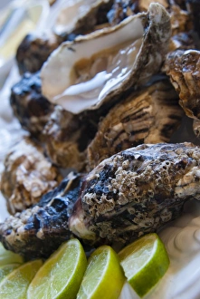 Opulence Prints: Oysters, Kilkenny, County Kilkenny, Leinster, Republic of Ireland (Eire), Europe