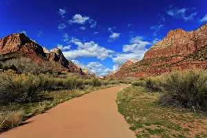 Canyon Prints: Pa rus Trail winds through Zion Canyon in winter