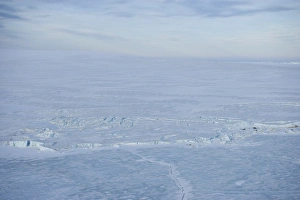 Pack ice, Antarctic Peninsula, Weddell Sea, Antarctica, Polar Regions