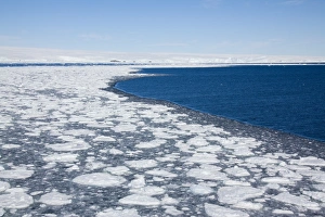 Images Dated 2nd January 2009: Pack ice, Dumont d Urville, Antarctica, Polar Regions