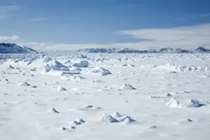 Pack ice, Glacier