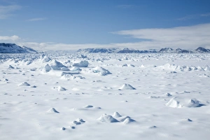 Images Dated 28th January 2000: Pack ice, Glacier