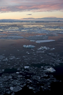 South Pole Prints: Pack ice and iceberg, Antarctic Peninsula, Weddell Sea, Antarctica, Polar Regions