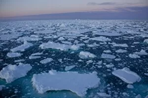 Pack ice at midnight, Southern Ocean, Antarctic, Polar Regions