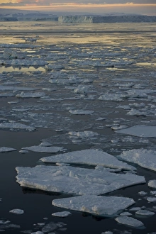 Pack Ice Prints: Pack ice, Weddell Sea, Antarctic Peninsula, Antarctica, Polar Regions