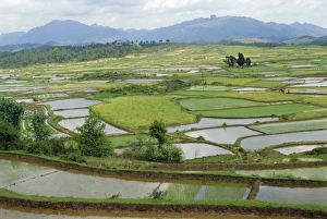 Flooding Prints: Paddy fields in spring near Sandu, Guizhou Province, China