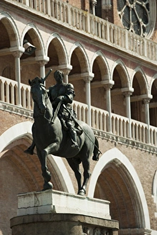 Images Dated 21st March 2009: Padova, Veneto, Italy, Europe