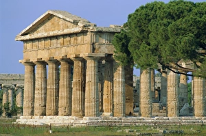 Crumbling Prints: Paestum, Campania