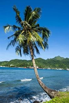 American Samoa Prints: The Pago Pago harbour on Tutuila Island, American Samoa, South Pacific, Pacific