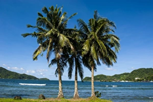 The Pago Pago harbour, Tutuila Island, American Samoa, South Pacific, Pacific