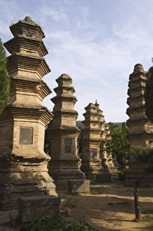 Kung Fu Prints: Pagoda Forest cemetery at Shaolin Temple, the birthplace of Kung Fu martial arts