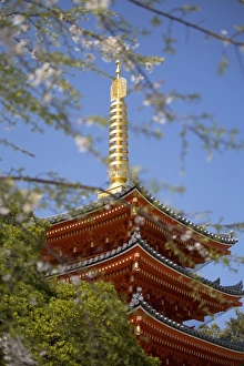 Kyushu Prints: Pagoda at Tocho-ji Temple, Fukuoka, Kyushu, Japan, Asia