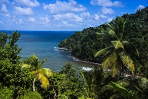 Dominica Prints: Pagua Bay in Dominica, West Indies, Caribbean, Central America