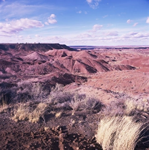 Mesa Prints: Painted Desert