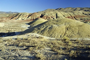 Wasteland Prints: The Painted Hills