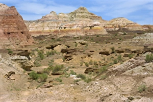 Xinjiang Prints: Painted landscape in the Gurbantinggut Desert in Xinjiang, China, Asia
