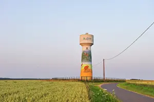 Centre Prints: Painted water tower in field around Blevy