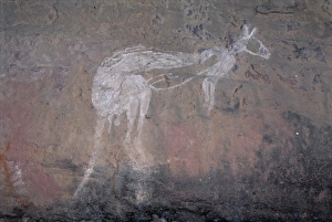 Indigenous Art Prints: Painting of a kangaroo at Nourlangie Rock, the sacred aboriginal shelter