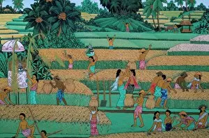Images Dated 2nd August 2008: Painting of people harvesting in rice fields