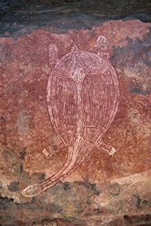 Painting of turtle at the aboriginal rock art site at Obirr Rock in Kakadu National Park where the paintings date