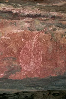 Painting of a turtle at the Aboriginal rock art site at Ubirr Rock, Kakadu National Park Painting of a turtle at the Aboriginal rock art site at Ubirr Rock, Kakadu National Park