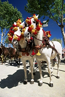 Two Animal Prints: Pair of colourfully decorated horses