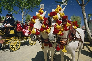 Pair of horses decorated with colourful headgear