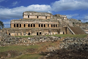 The Palace