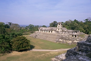 Palenque Prints: The Palace