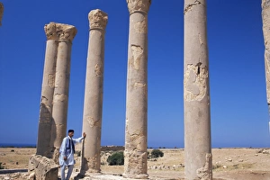 Palace columns