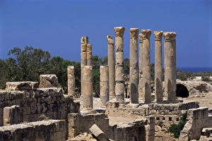 Libyan Prints: Palace columns