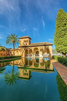 Palaces Prints: Palace of the Partal, The Alhambra