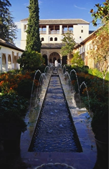 Alhambra Prints: Palacios Nazaries, Alhambra, Spain