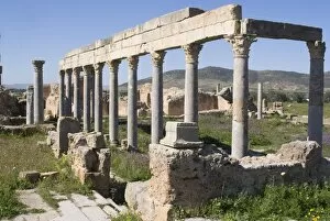 Images Dated 23rd March 2008: Palaestra, Greco-Roman gymnasium, Roman site of Thuburbo Majus, Tunisia