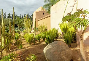 Oasis Prints: Palais Claudio Bravo, Taroudant, Sous Valley, Morocco, North Africa, Africa