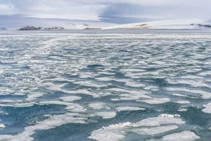 Pack Ice Prints: Palanderbukta Bay, Pack ice pattern