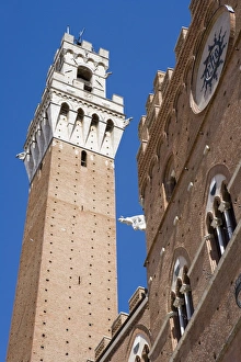 Siena Prints: Palazzo Pubblico (Town Hall)