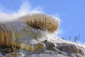 Geothermal Gallery: Palette Spring, Travertine Terraces, Mammoth Hot Springs, Yellowstone National Park