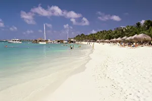 West Indian Prints: Palm Beach, Aruba, West Indies, Dutch Caribbean, Central America