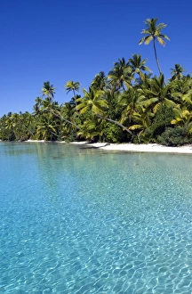 Palm fringed beaches, Cook Islands, South Pacific, Pacific