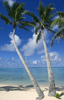 Palm fringed beaches, Cook Islands, South Pacific, Pacific