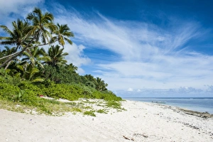 Tonga Prints: Palm fringed Kolovai beach, Tongatapu, Tonga, South Pacific, Pacific