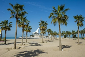 Kuwait City Prints: Palm fringed Marina beach, Kuwait City, Kuwait, Middle East