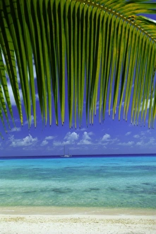 Palm Frond Prints: Palm frond and beach